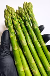 安曇野産 朝採りアスパラ｜Lサイズ｜甘くてやわらか｜毎日収穫・新鮮直送