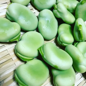 お待たせそら豆！5月限定の旬の味です。