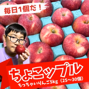 毎日一個だ！ちょこップル！(ちっちゃいりんご5kg)