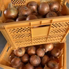 旨味ぎゅーっと✨淡路島産 玉ねぎ 10kg【長期保存可◎】8月上旬発送