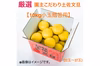 【新発売】厳選 園主こだわり土佐文旦10kg小玉【贈答用】