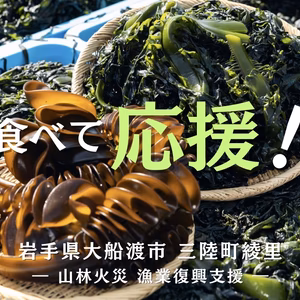 【大船渡市綾里からお届け】塩蔵わかめと生めかぶのセット【山林火災応援商品】