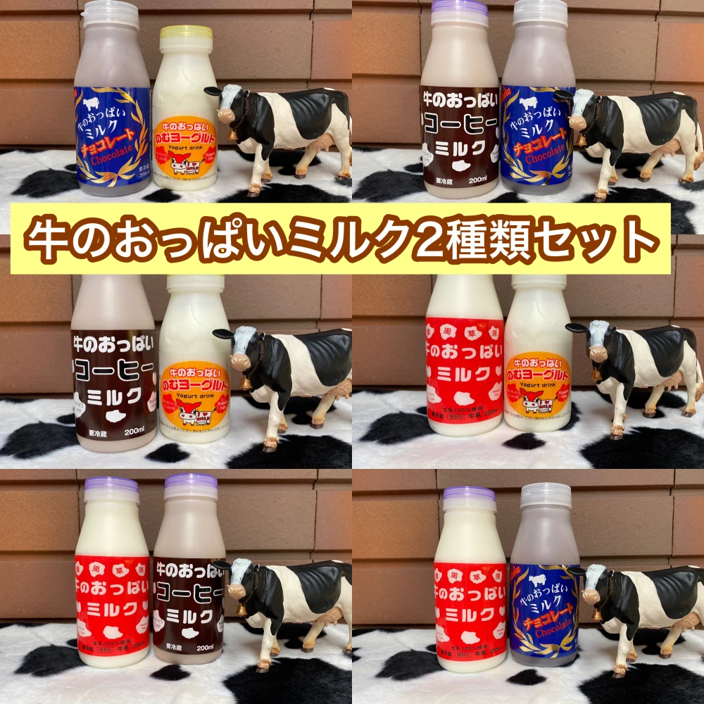 牛のおっぱいミルク2種類セット
