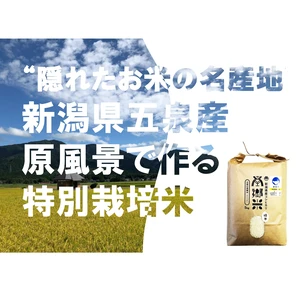 ＊特別栽培米 '隠れたお米の名産地’ 新潟県五泉産コシヒカリ「南郷米」精米