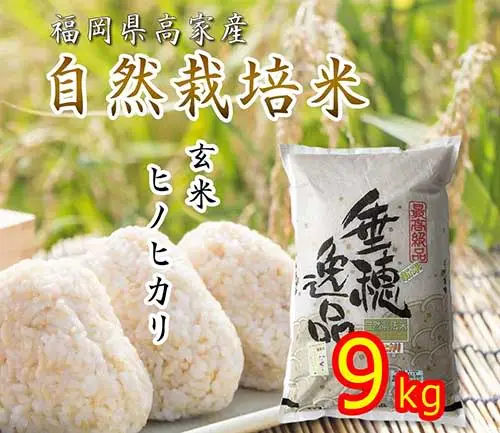 【自然栽培米】玄米 9kg 特Ａランク ヒノヒカリ 福岡県産 29年度米