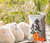 ★新米★【自然栽培米】玄米 9kg ヒノヒカリ 福岡県産 令和元年度産米