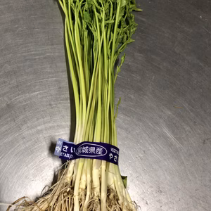 「3/13(土) 高輪GW駅受取のみ」3月の名取せり300g