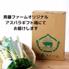 夏どりアスパラ　訳あり品 １kg