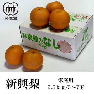 家庭用・日迎梨（林農園オリジナル品種） 約2.5kg(6〜4玉)｜果物の商品