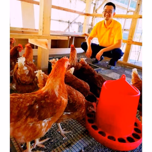 平飼いOmega3✕5　egg 　（平飼いえごまたまご）25個＋破損保証５個入