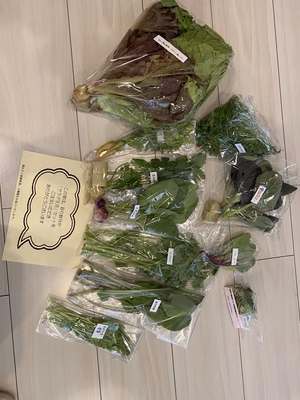 みんなの投稿の画像