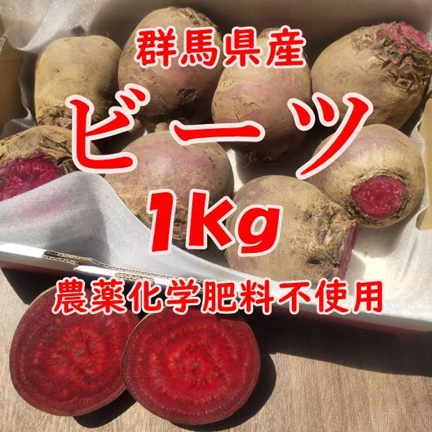 【群馬県産】ビーツ １kg【農薬化学肥料不使用】