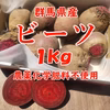 【群馬県産】ビーツ １kg【農薬化学肥料不使用】