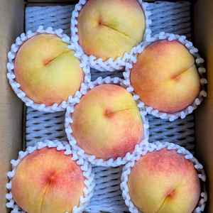 黄金桃  大玉・中玉  約２K 