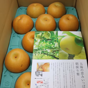 これが完熟！！豊水ファン急増中！！遠州浜松都田、まるたか農園梨　（豊水）