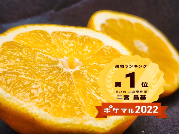 グレープフルーツ好きの方に和製グレープフルーツ　河内晩柑