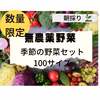 季節の旬の野菜セットMサイズ