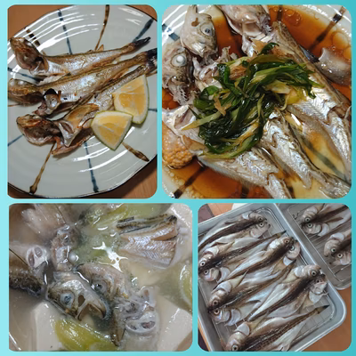 みんなの投稿の画像