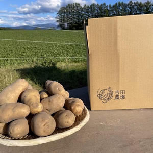北海道産じゃがいも【メークイン】　サイズ混合10㎏(5kg×2）