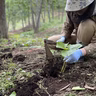 佐々木雄哉