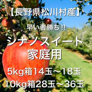ご好評につき再販‼︎極甘‼︎【長野県松川村産】シナノスイート 家庭用