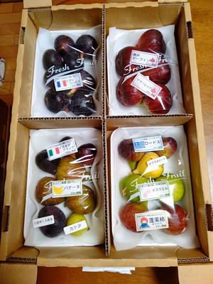 みんなの投稿の画像