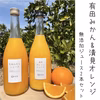 【みかんと清見２種】早生みかん、清見オレンジ１００％無添加ジュースセット