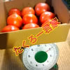 たくろー君家のトマト