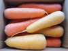 生でも美味しい掘りたて人参(栽培期間中農薬不使用)
