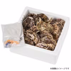 広島牡蠣老舗の味! 殻付き牡蠣15個[生食用]