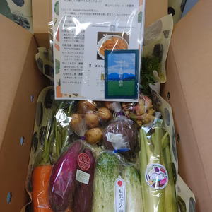 季節の彩り野菜セット【農薬・化学肥料不使用】たからのやまたかやま