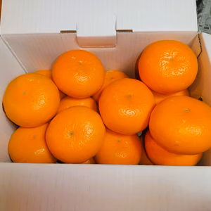 みなみ農園の　津の望　あふれる果汁