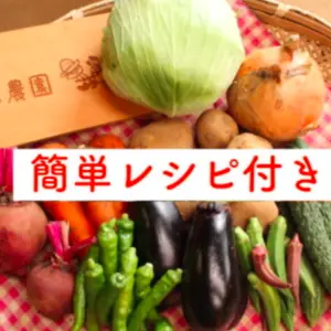 【レシピ付】あるまま農園・無農薬野菜セット＜L＞月1