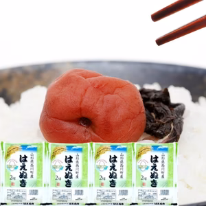 おいしいはえぬき 2kgx4袋 特A米 1等米 無洗米 令和6年山形産 