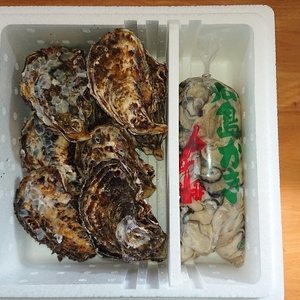 値下げ‼️春牡蠣✨広島県音戸産【加熱用】むき身&殻付き牡蠣セット