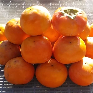 [訳あり]富有柿Sサイズ(糖度15～16度)5kg(同梱不可）
