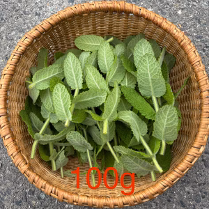 無農薬 アップルミント ハーブ 約100g