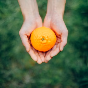 コロナに負けない！訳あり越冬しらぬい