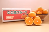 ＜家庭用＞清見オレンジ4.5kg~9kg　★不知火は完売！