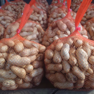 【ゲリラ出品”生“落花生】アウトレット八街産”おおまさり“【訳あり品】