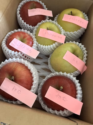 みんなの投稿の画像