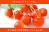 ポケマルがお届け！「お試し 王道フルーツ定期便」