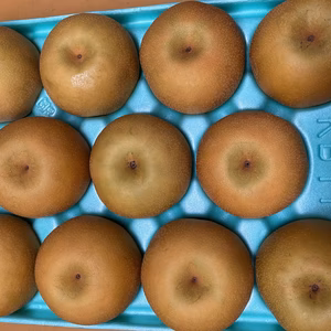 良品 梨(南水) 5kg(13〜20玉)