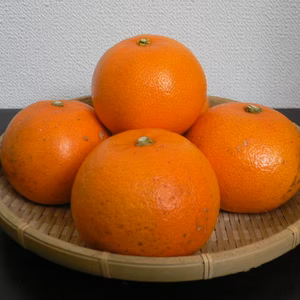 せとかみかんサイズ(中玉混合)秀優品