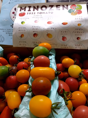 みんなの投稿の画像