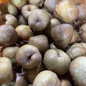 超農薬削減栽培訳あり丸かじりラフランス5キロ＋訳あり小玉王林5キロジュース用