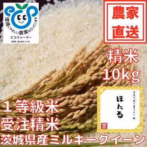 お米　白米 10kg【茨城県内送料無料】茨城県産ミルキークイーンほたる