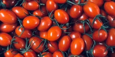 ぷるんっと輝くアイコの人気が止まらない！みなさんの投稿をまとめてみました。