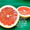 グレープフルーツ（紅）　リクエスト分だけ