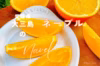 大三島のネーブルオレンジ【ご家庭用・防腐剤フリー⭐︎】